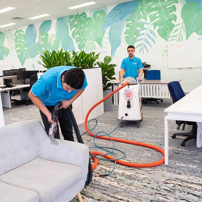 Steam and deep carpet cleaning service in a Sydney office